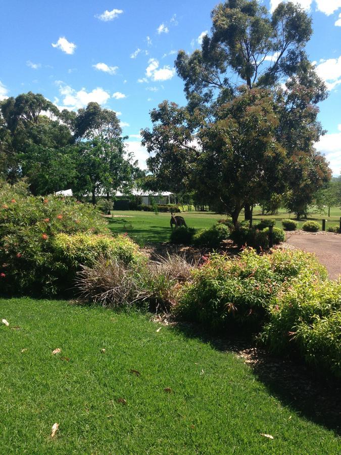 Вилла Gumnut Grove The Vintage Rothbury Экстерьер фото